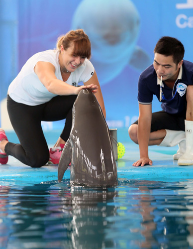 菲利克斯 菲利克斯